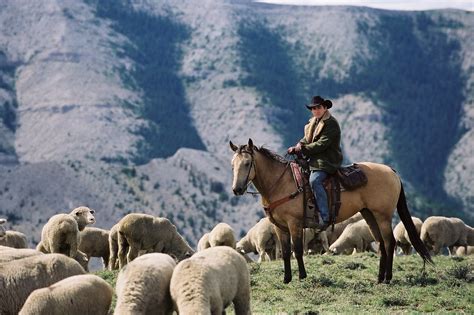06-03-02 VIEW (Ang Lee 2005) Brokeback Mountain pic 3