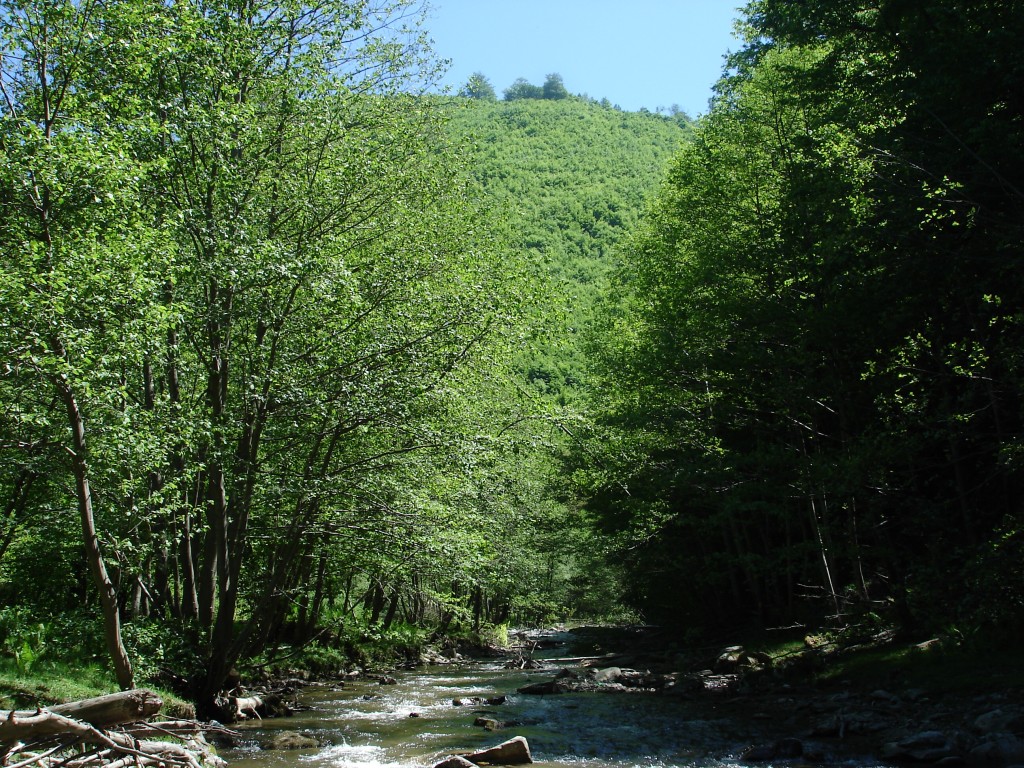 Sunday, May 13, 2007 — Sarmizegetusa pic 3
