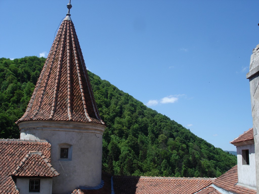 07-05-15 A Bran Castle Gallery pic 14