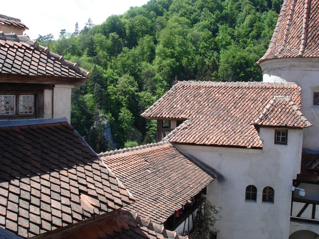 07-05-15 A Bran Castle Gallery pic 15