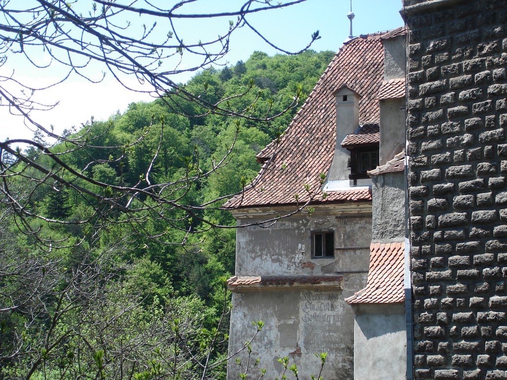 07-05-15 A Bran Castle Gallery pic 5